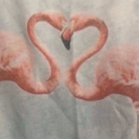 WILDFOX Super Soft Flamingo Shirt size L - Picture 2 of 5